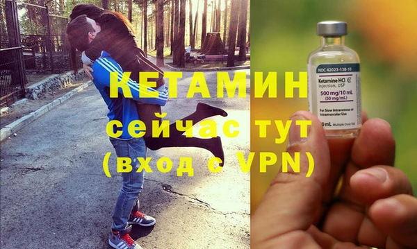 трава Слюдянка
