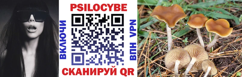 Галлюциногенные грибы прущие грибы  Бавлы 