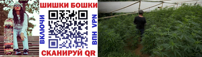 Марихуана гибрид  Бавлы 